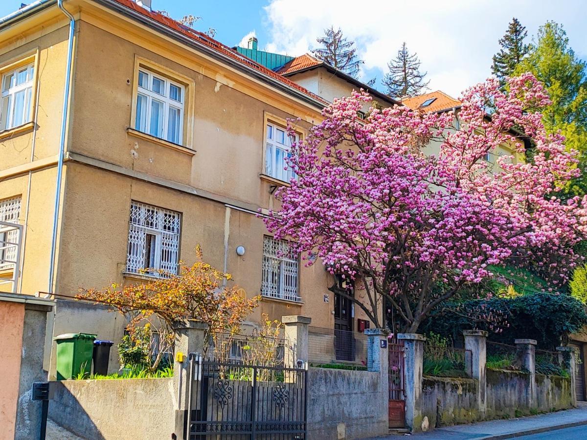 Studio Apartmani L'Art Zagreb Exteriör bild